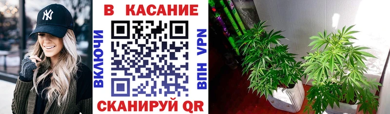 Наркошоп купить Марихуана  АМФ  БУТИРАТ  Галлюциногенные грибы  APVP  Меф  Нефтегорск