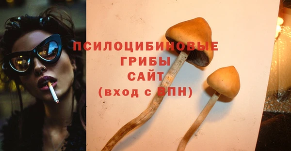 PSILOCYBIN Верхнеуральск