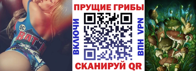 Купить где  Нефтегорск  Галлюциногенные грибы GOLDEN TEACHER 